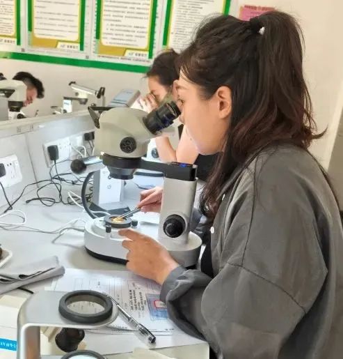 广州南华工贸技师学院